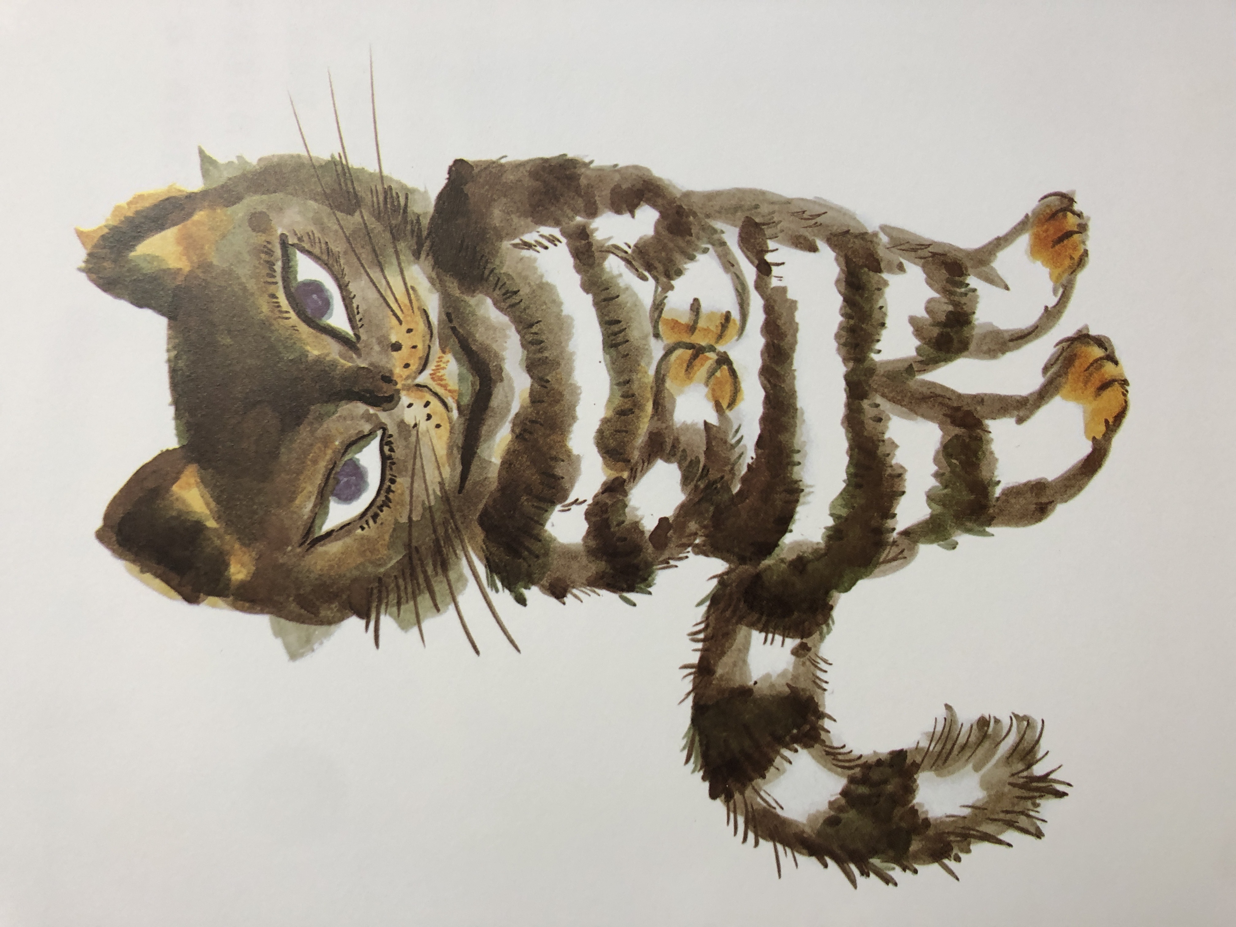 圖說：日本繪本界的名貓多到數不清，但人們永遠都會記得佐野洋子（1938~）的貓，不論是《活了100萬次的貓》（100万回生きたねこ，左圖），還是《我是貓耶》（おれはねこだぜ，右圖），她筆下的貓總是桀驁不馴又充滿靈氣。圖片取自《活了100萬次的貓》、《我是貓耶》內頁。