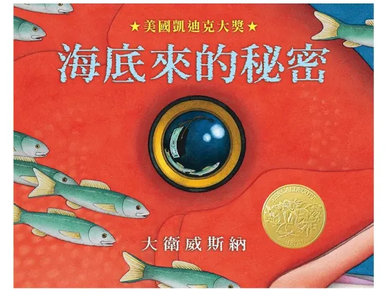 《我的姊姊不一樣》